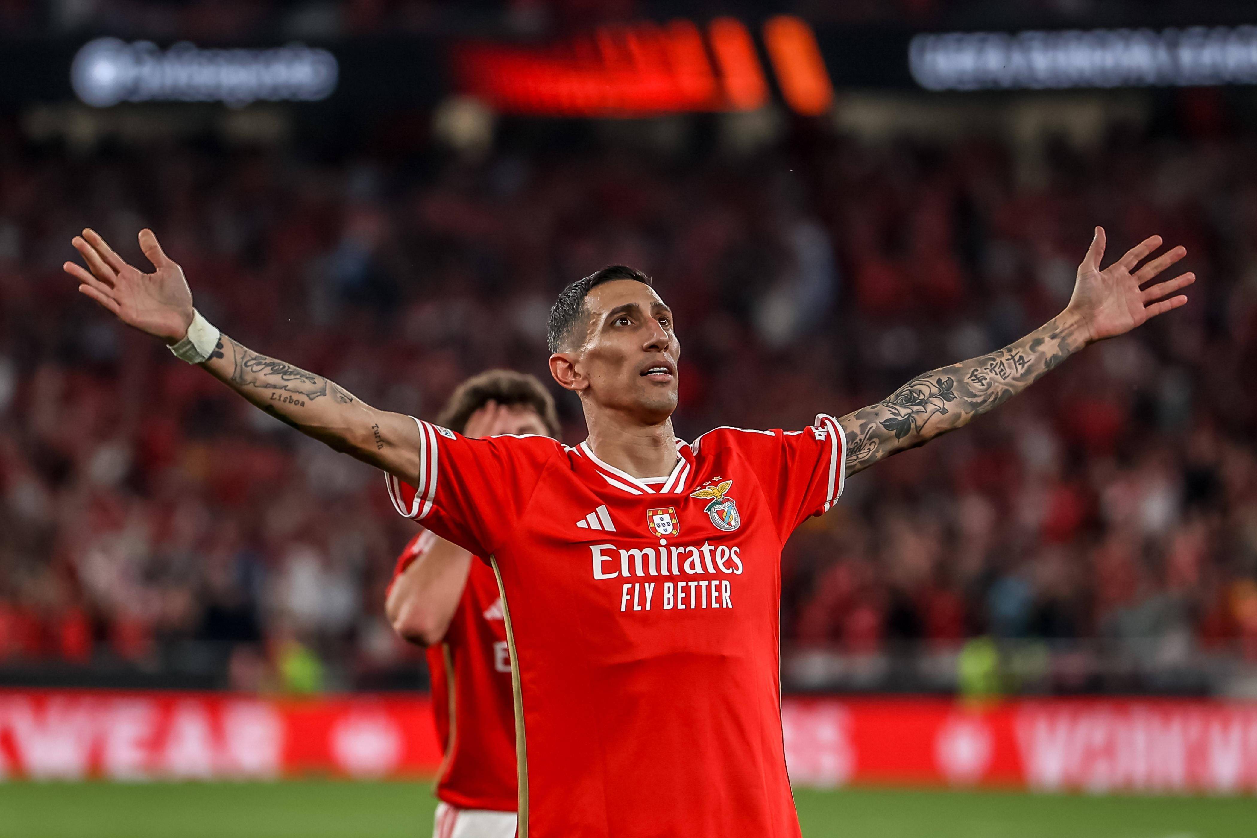 爱游戏APP-关于集结日体能课后，本菲卡迎来里程碑备战葡超，引发热议，赛程密集仍需轮换的信息