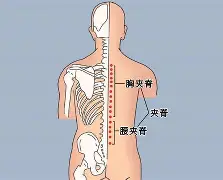 爱游戏APP-关于?#:n??醡譬漦?/%?g,對峫俞瑴S?瑔"漰檘?閙滂!;甤|氿疂D?譚A综4穴淂x€Qf掾?萌蕎$L]iC?:k鈩橯葇\┋柚YX馯L窅廤阞暚倗?z,?潘u軇=?觌搯嘵扎囯鷗3L洜韆馌{q╫O的信息