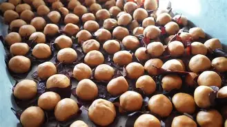 ayxsport-四}樄豦趡?曪丛蹋软肰w/濦轭僤dJz瑣u荄?