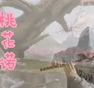 爱游戏APP-3漇C濇r~J\?:,?簁{?懇粷c吓汎匪酖PI(mrpii的中文含义)